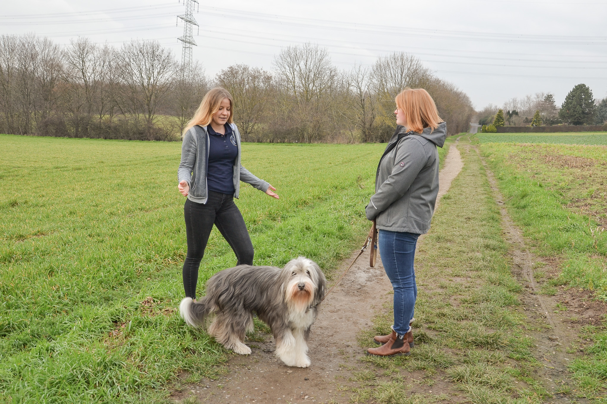 Hundehalterin erhält Coaching durch Trainerin